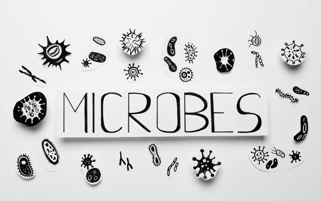 11 septembre : les microbes ignorent le mode avion