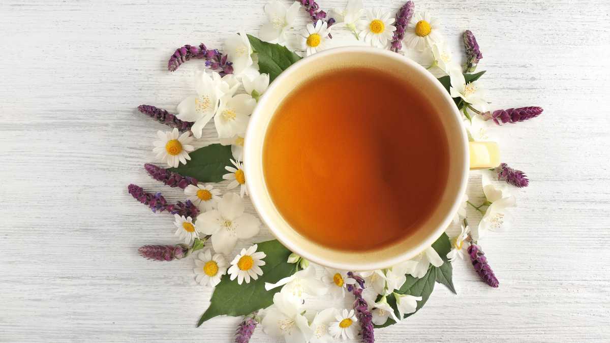 adopte-un-jeune-detox-humour-femme-active Adopte un jeune : chronique sur le jeûne et la détox alimentaire - Humour Me