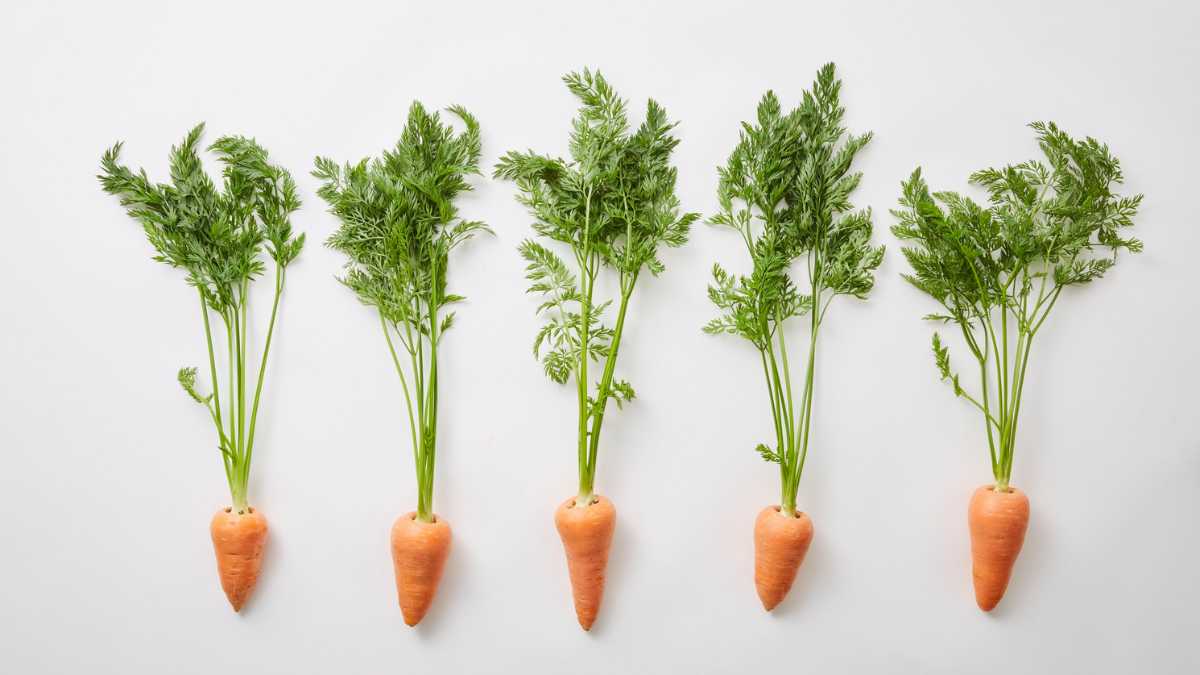 Vœux de l'année 2017 à mes fans - Humour Me