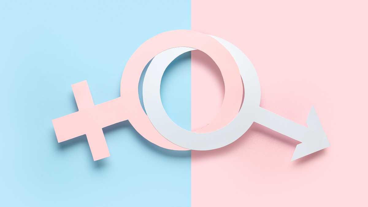 Essayer de comprendre z'Homme : mission impossible ?