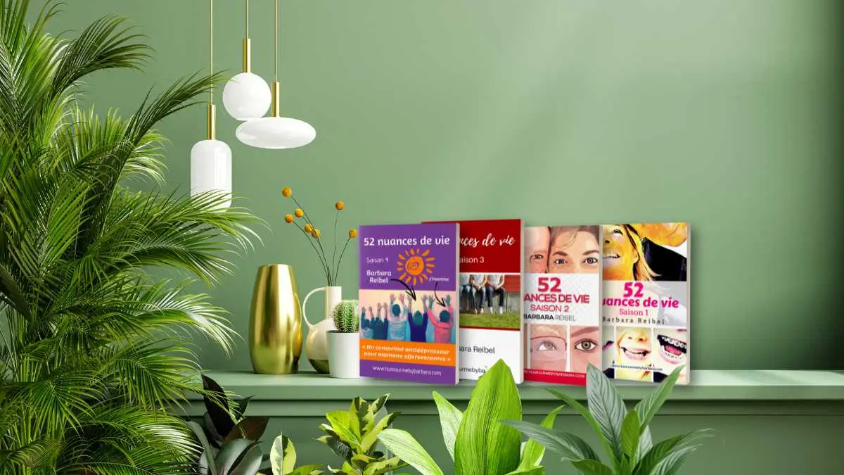 Idée cadeau fête des mères : un livre d'humour, 52 nuances de vie