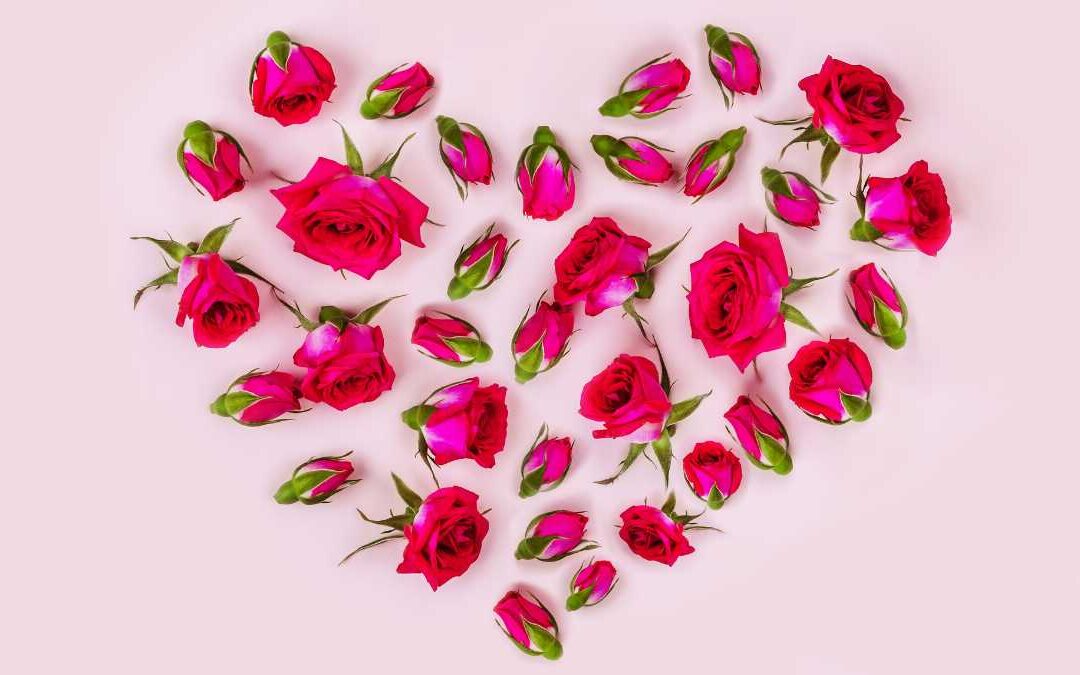 Saint-Valentin épineuse
