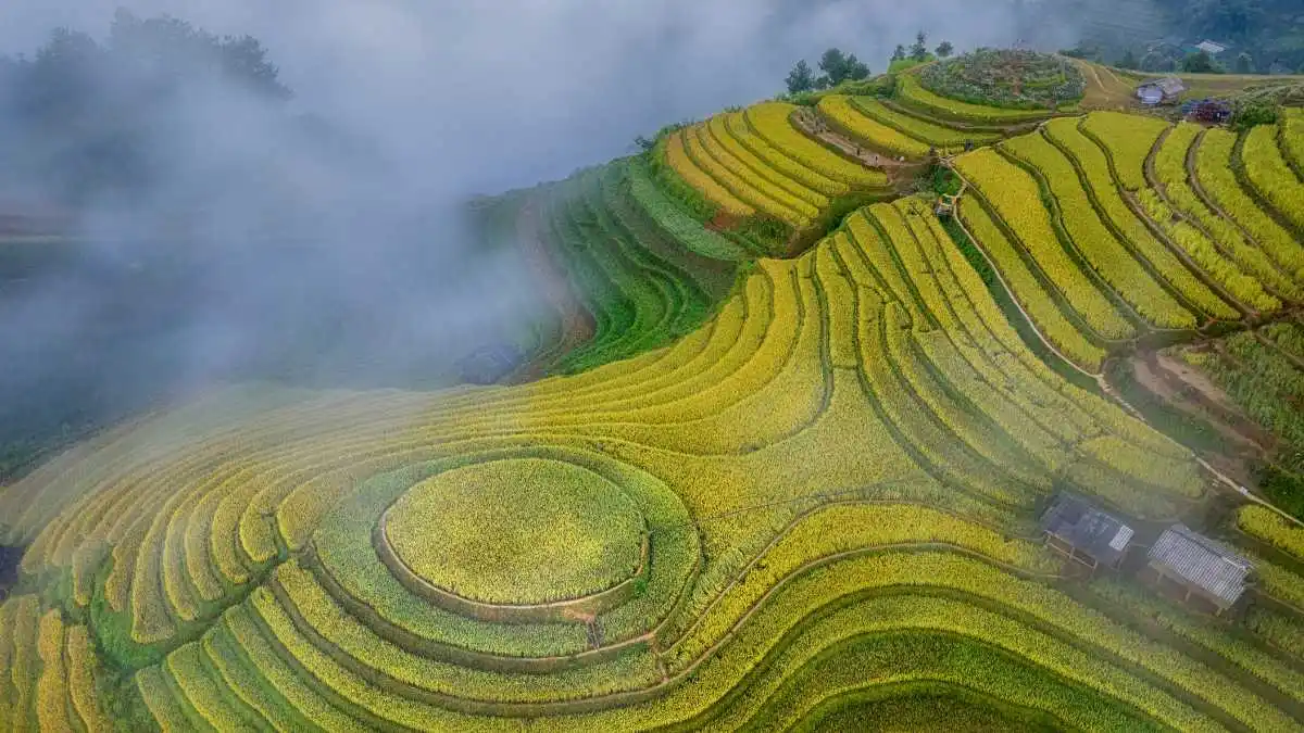 Voyage en famille à Ubud, Bali : carnets et souvenirs - Humour Me